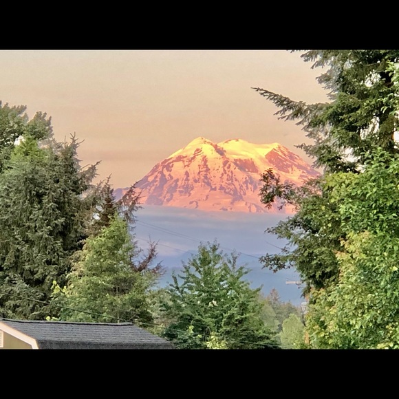 Meet your Posher, 💚🌲 EMILY 💚🌲 - Picture 5 of 5